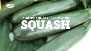Mastering Summer & Winter Squashes | Key Differences, When to Harvest & More
