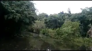 Rio Juma turismo na Amazônia