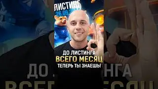 Hamster Kombat - остался один месяц! Скоро листинг Хомяка! ТЕПЕРЬ ТЫ ЗНАЕШЬ! #shorts