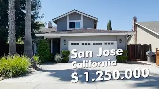 California Home Review: How Ordinary Americans Live / US Real Estate