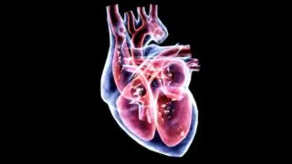 Tik Tok Heartbeat Compilation Chapter 4 (Final Chapter)