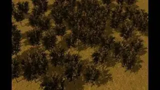 Trees.