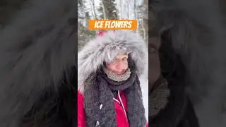 Ice flowers