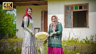 Traditional Iranian Stew with Fava Beans and Dill | Village Cooking in Gilan, Iran