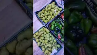 8.1часть.Фермеры нашего города продают,то что сами вырастили#овощи#фрукты#ягода