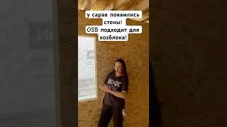 Стены из osb плит для сарая! #стройка #дача #ремонт #каркасныйдом #сарай#хозблок