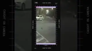 Terrifying and deadly  Hit and Run on Caught on Camera