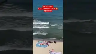 ПОВЕЗЛО ТОМУ, КТО СПАЛ🤣#пляж #юмор #приколы #beach #кабан #новости #еда #путешествия #отдых #море