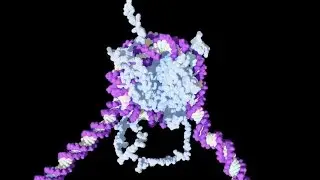 The Molecular Basis of Life