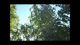 Анна Оганесян. Один день из жизни. Алексей Бабич. ГТРК ЛНР.