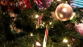 X Mas 2011 11