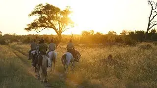Hwange Horse Back Safari
