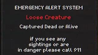 RESTRICTED_Disappearance_message.mp4 (Read description)