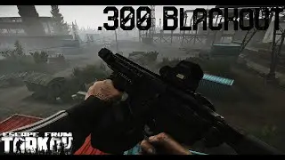 .300 Blackout - Escape From Tarkov