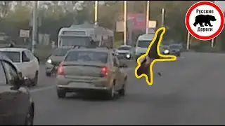Наезд на пешехода в Ульяновске | Ваши Видео #72