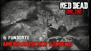 ✪ Red Dead Online | 6 Amerikanischer Ginseng Fundorte [German] ✪