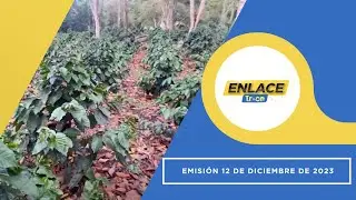 Noticias Enlace Trece (Emisión 12 de Diciembre de 2023)