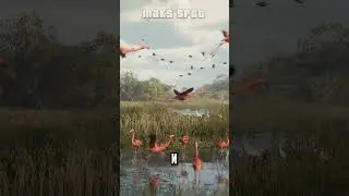 🗺️GTA VI map size 