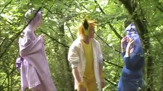 Eeveelutions (Dis)assemble!