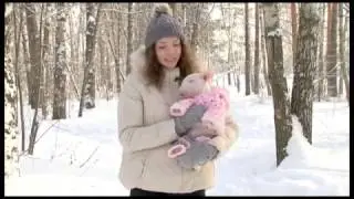 Бультерьеры