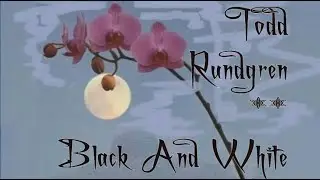 Todd Rundgren - Black and White