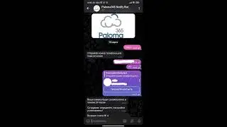Настройка Telegram bota