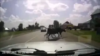 Самые редкие кадры ДТП снятые на видео регистратор Подборка 5