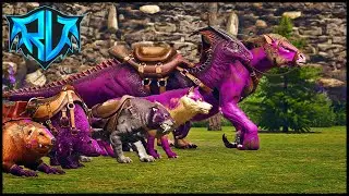 Omega Summoner Koleksiyonu!! | Ark Omega | Bölüm #13