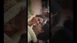 Cibi Love gayathri | #shorts #youtubeshorts #wedding #katchisera #trending #love