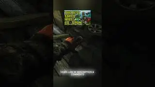 Randomized Loot Containers SOLVED - Escape From Tarkov  