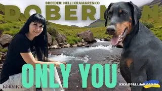 Ring Training with Doberman Only You — 18 Months Old!