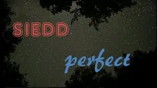 SIEDD PERFECT - lyric video