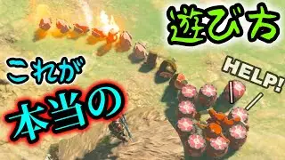 ゼルダの遊び方はこうだ！　多分！【ブレワイ】
