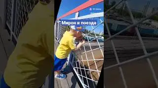 Мирон и поезда 🚆  ходили на жд смотреть 🤗 Мирону 2,4  