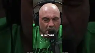 Joe Rogan on Doing DMT 3 Times in One Day!?! 😲 | JRE ft. Ari Shaffir 
