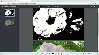 Image to PDF converter - imageonline.co