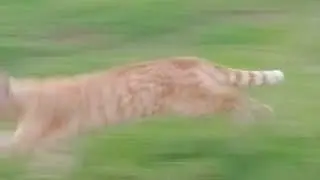 Моменты из 1 дня