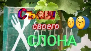 СЪЕШЬ  СЛОНА😂🍽