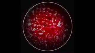 Cymatics Experimenting with Sound and Liquid 1 
