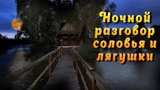 Ночное озеро. Звуки природы Сверчки, лягушки и пение птиц для глубокого сна