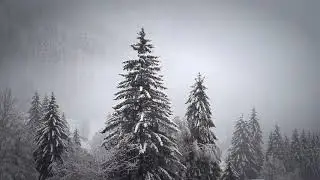 Winter Wonderland: Serene Snows Capes for Relaxation and Nature Enthusiasts