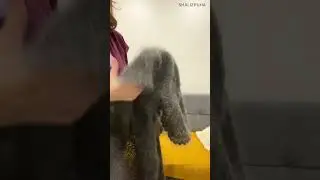 Пуховый платок Зимушка 