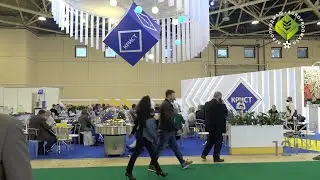 УЧАСТНИКИ 