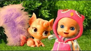 Милая кошечка помогла Люси Шоу