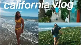 california week in my life vlog (SPRING BREAK VLOG)
