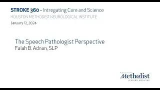 The Speech Pathologist Perspective