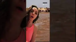 Suudi Arabistan çöllerinin durumu ne olacak sizce? 