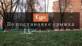 Как научить собаку прыгать за диском?