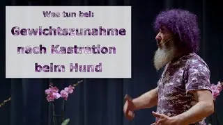 Robert Franz Vorträge: Was tun bei Gewichtszunahme nach Kastration beim Hund?