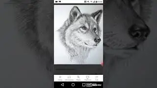 20 подписчиков! Конкурс!